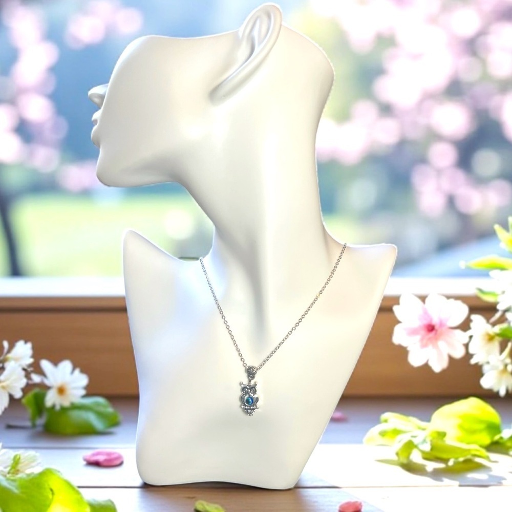 🔥 CLEARANCE 🔥 Beautiful Silver Tone Nazar Owl Pendant Necklace - NWOT